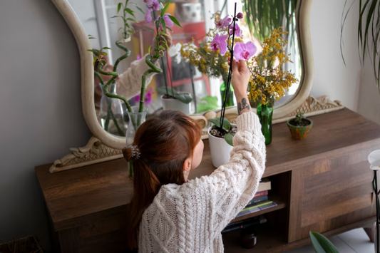 How to Create a Sanctuary in a Busy World
