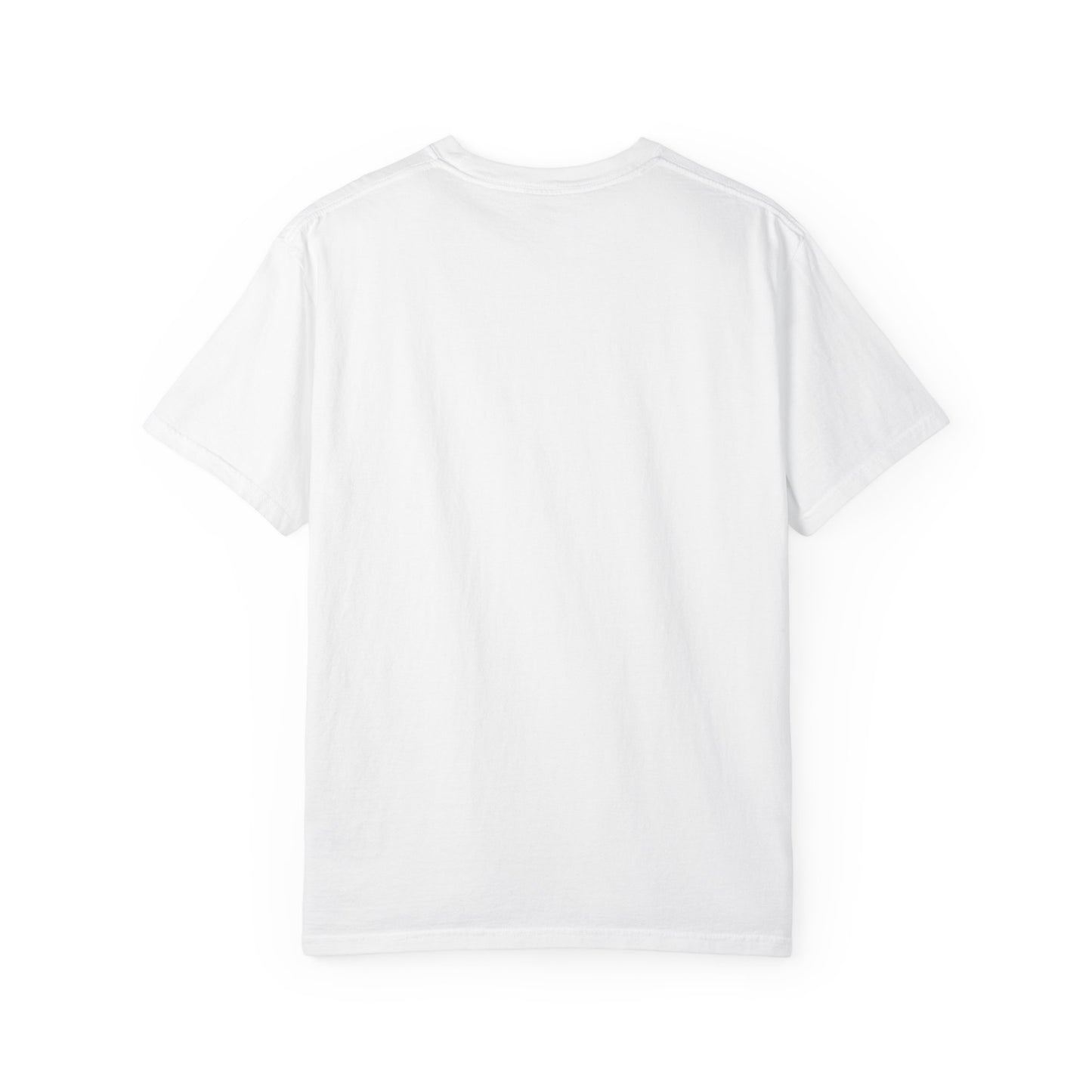 Soccer Stadium Argentine Stripes Football Tee
